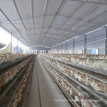 Nouvelle alimentation automatique de conception potable 120 couches cage de poulet de volaille à vendre